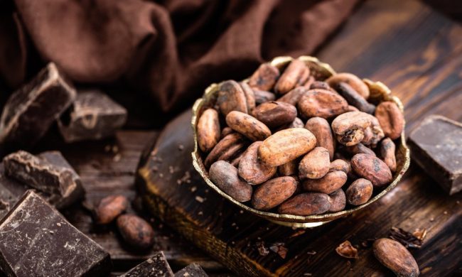 GULLON_09_ARTICLE_propiedades-cacao-web
